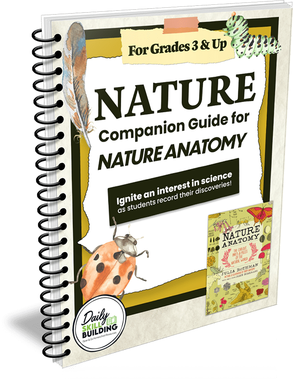 Nature Companion Guide to Nature Anatomy by Julia Rothman