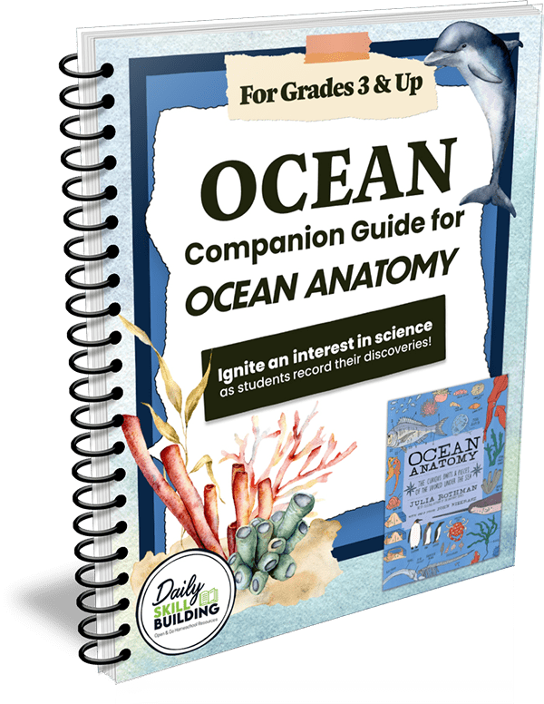 Ocean Companion Guide to Ocean Anatomy by Julia Ro