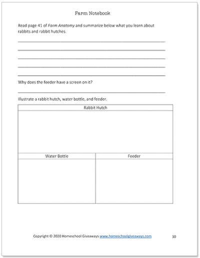 Farm Notebook - Companion to Farm Anatomy by Julia Rothman
