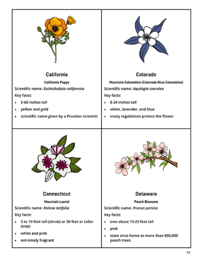 U.S State Study Resource Pack Bundle