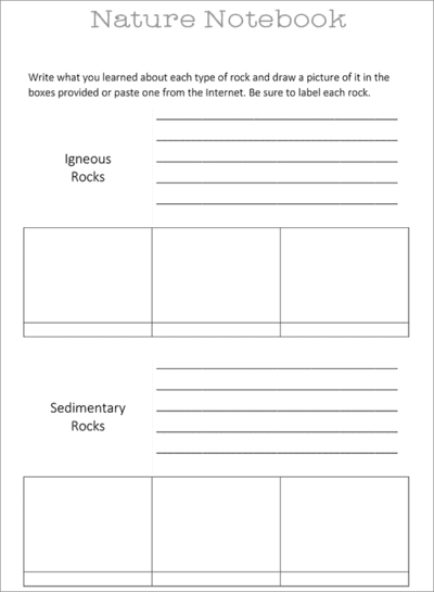 Nature Notebook - Companion to Nature Anatomy by Julia Rothman