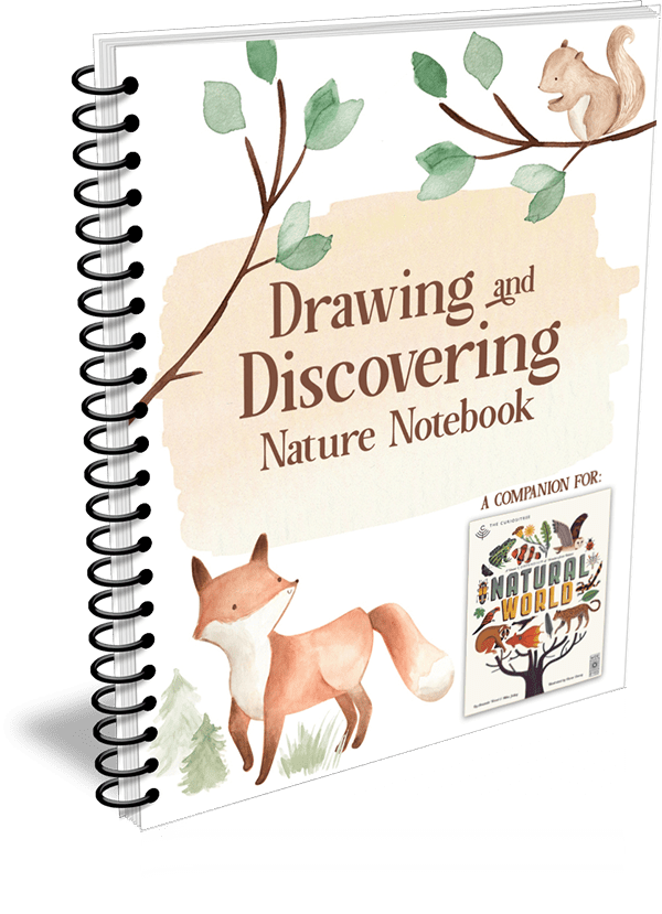 Drawing and Discovering Nature Notebook