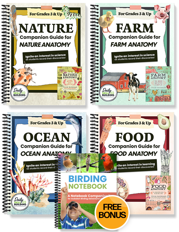 Notebook Companion Bundle for the Julia Rothman Collection Plus Free Bonus