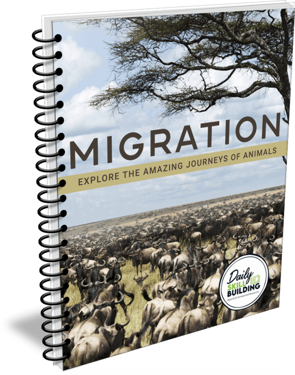 Migration - Explore the Amazing Journeys of Animals