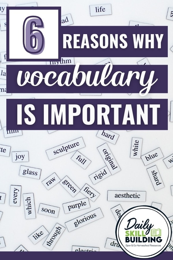 6 Reasons Why It’s Important to Develop Vocabulary Skills