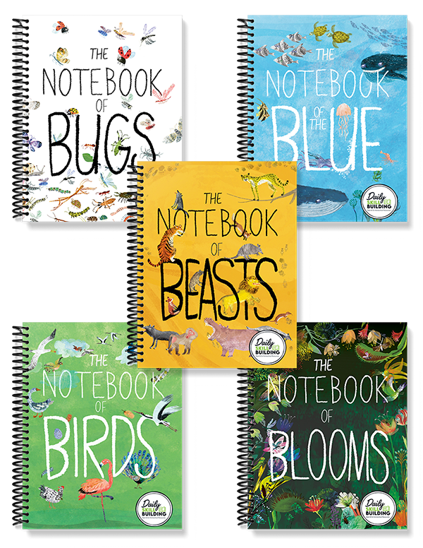 The Big Book Series Notebook Companions™