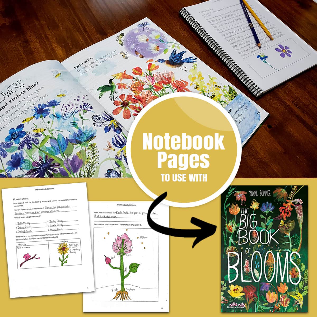Notebook for The Big Book of Blooms
