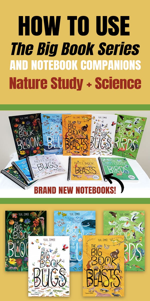 How to Use The Big Book Series and Notebook Companions