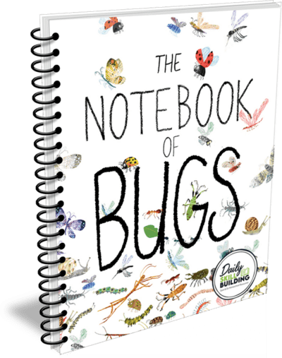 The Notebook of Bugs - A Companion to The Big Book of Bugs