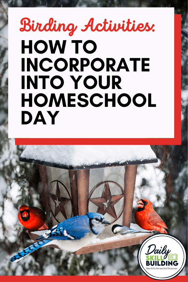 How to Incorporate Birding Activities Into Your Homeschool Day