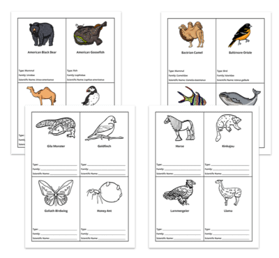 Genius Fact Cards: Set of 1,000+ Fact Cards - Image 2
