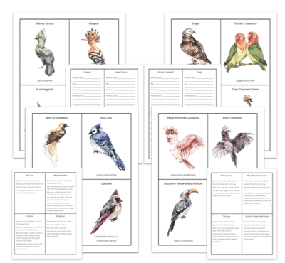 Genius Fact Cards: Set of 1,000+ Fact Cards - Image 4