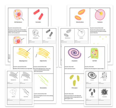 Genius Fact Cards: Set of 1,000+ Fact Cards - Image 5