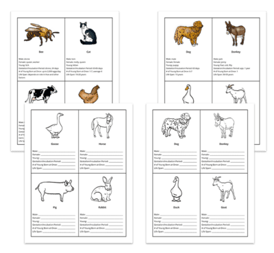 Genius Fact Cards: Set of 1,000+ Fact Cards - Image 7