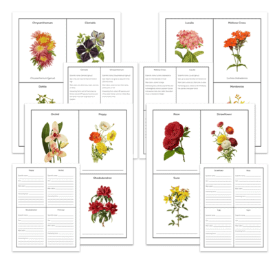 Genius Fact Cards: Set of 1,000+ Fact Cards - Image 8