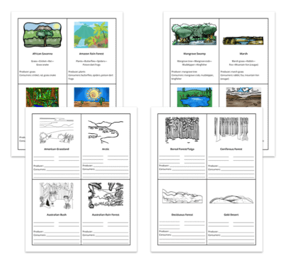 Genius Fact Cards: Set of 1,000+ Fact Cards - Image 9