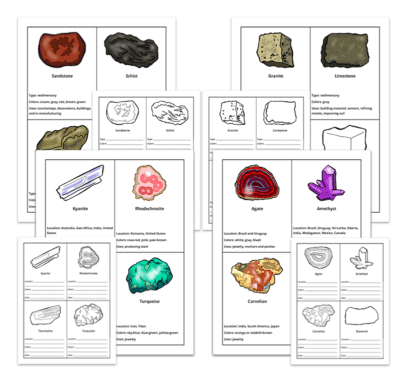 Genius Fact Cards: Set of 1,000+ Fact Cards - Image 10