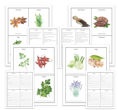 Genius Fact Cards: Set of 1,000+ Fact Cards - Image 11