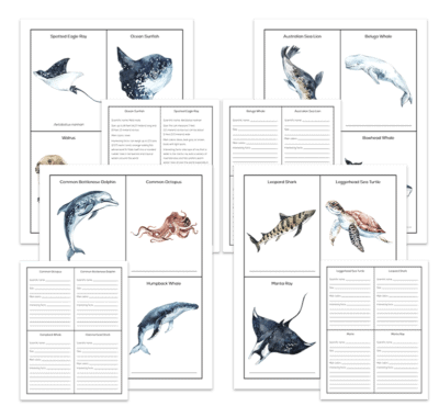 Genius Fact Cards: Set of 1,000+ Fact Cards - Image 15