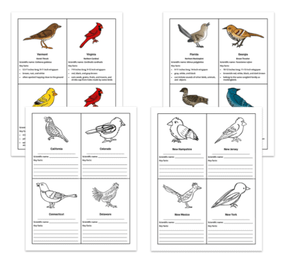 Genius Fact Cards: Set of 1,000+ Fact Cards - Image 20