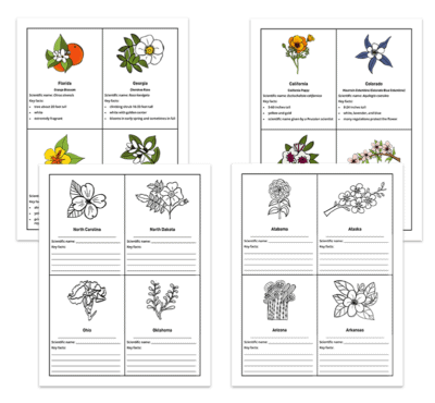 Genius Fact Cards: Set of 1,000+ Fact Cards - Image 22