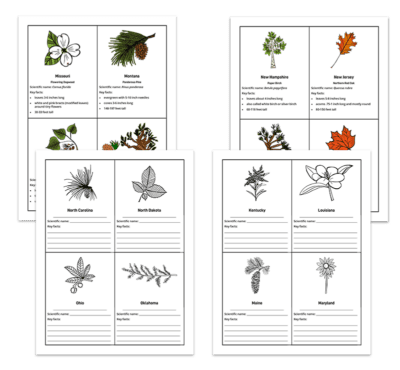 Genius Fact Cards: Set of 1,000+ Fact Cards - Image 23