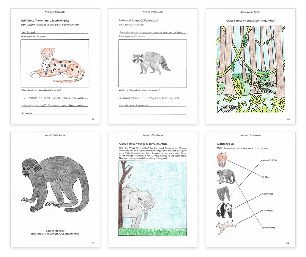 worksheets and coloring pages of animals in the forest completed by a student