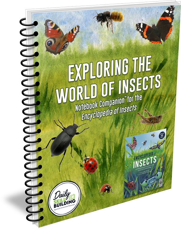 Exploring the World of Insects Notebook Companion™