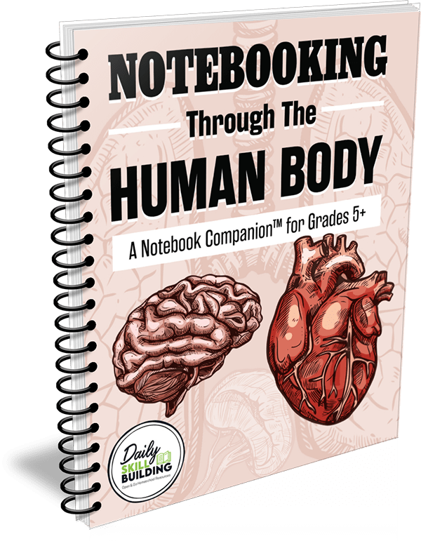 Notebooking Throguh the Human Body