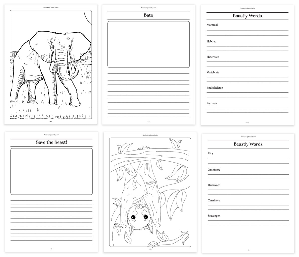 notebook of beasts junior pages