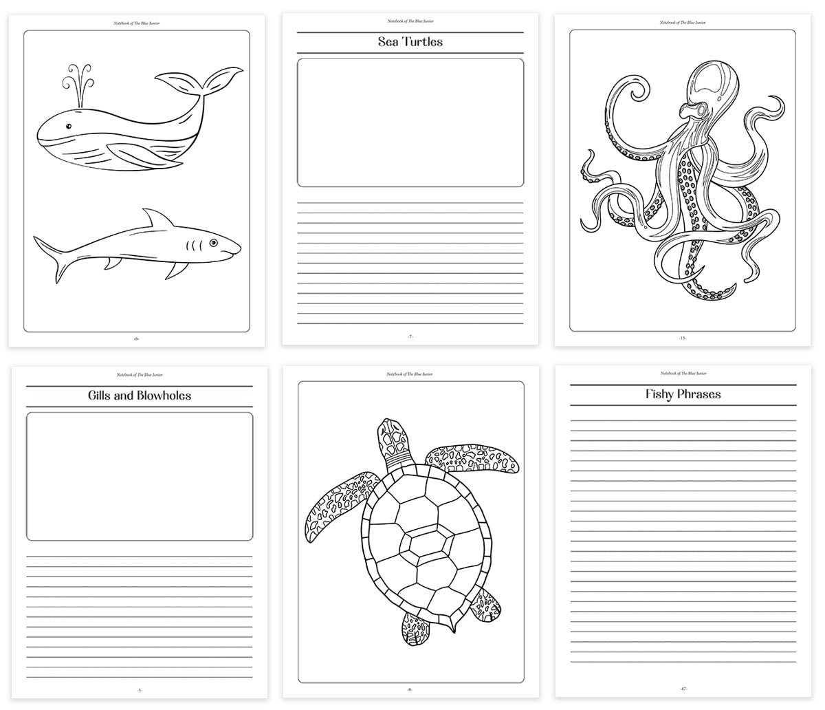notebook of the blue junior pages