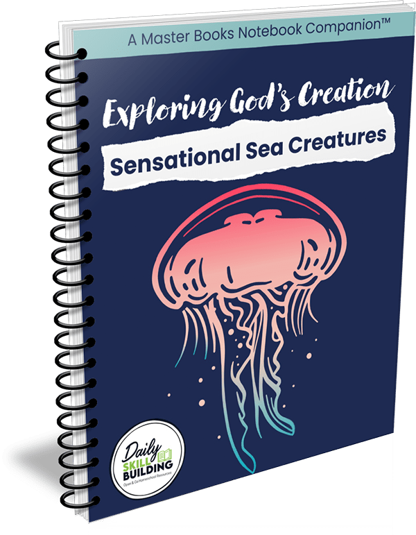 Exploring God's Creation: Sensational Sea Creatures
