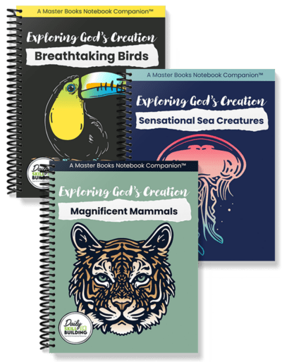 Exploring God's Creation Set