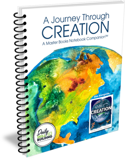 A Journey Through Creation