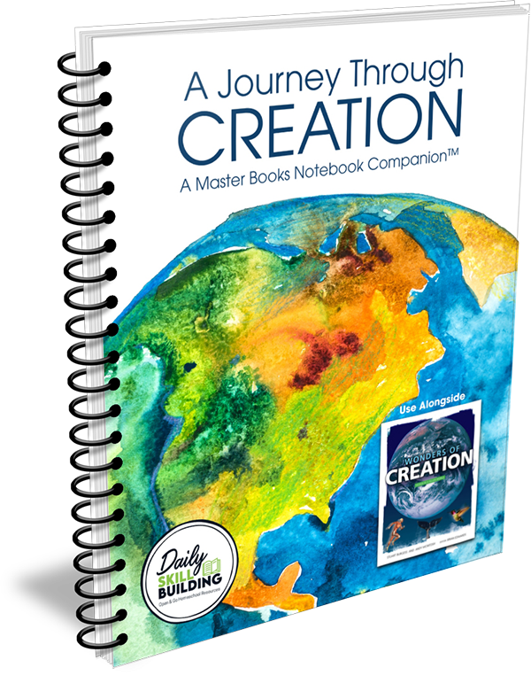 A Journey Through Creation