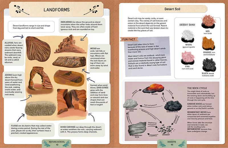 deserts lesson in Nature School