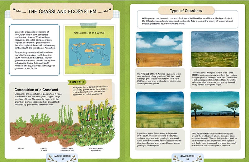 grasslands lesson in Nature School