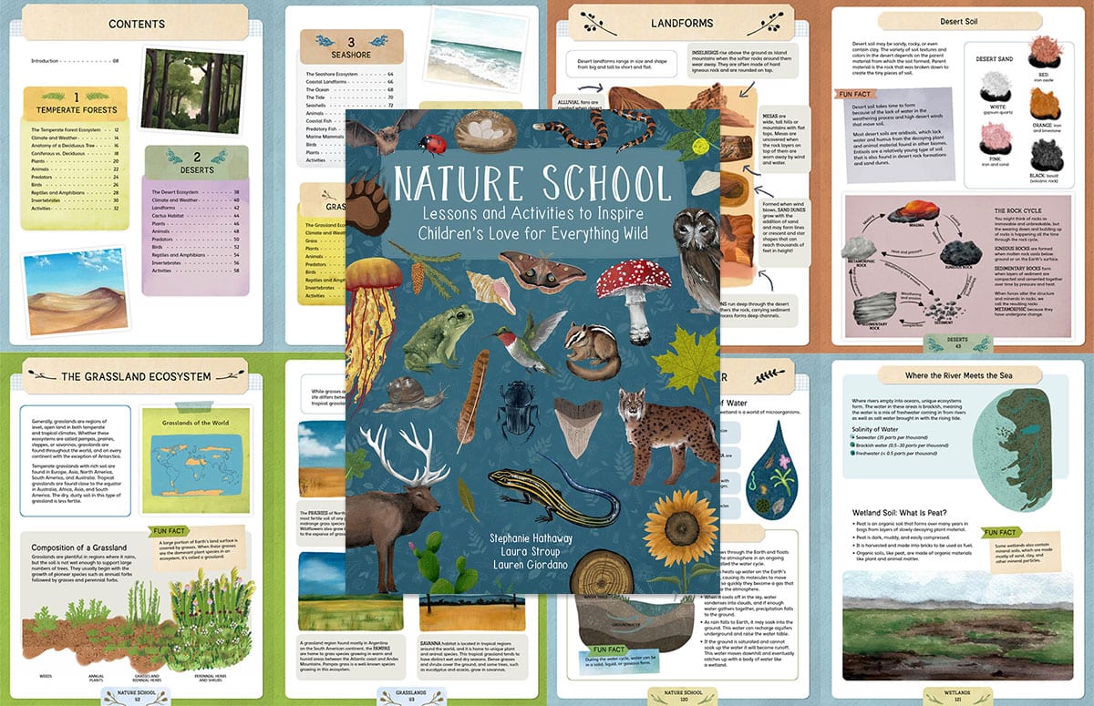 Nature School