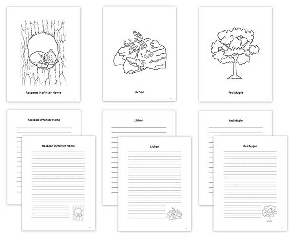 Coloring Notebook  Add-on for Science Through Nature