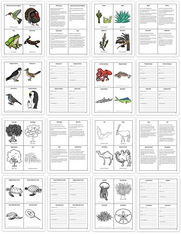 Fact Cards Add-On for Science Through Nature