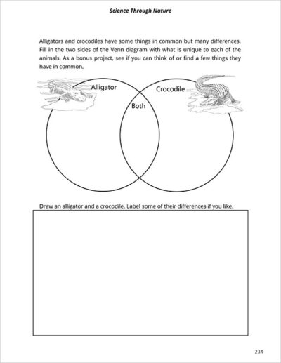 notebook page 11 for Nature School