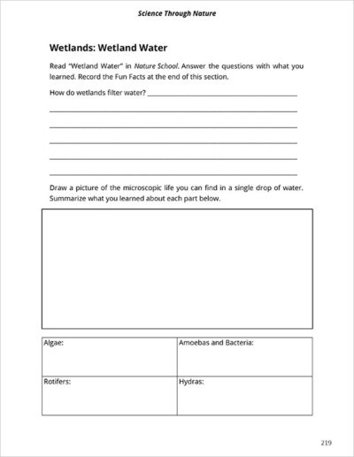 notebook page 10 for Nature School