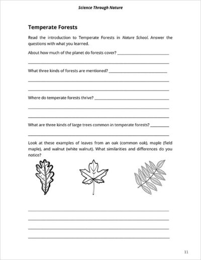 notebook page 2 for Nature School