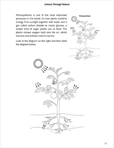 notebook page 1 for Nature School