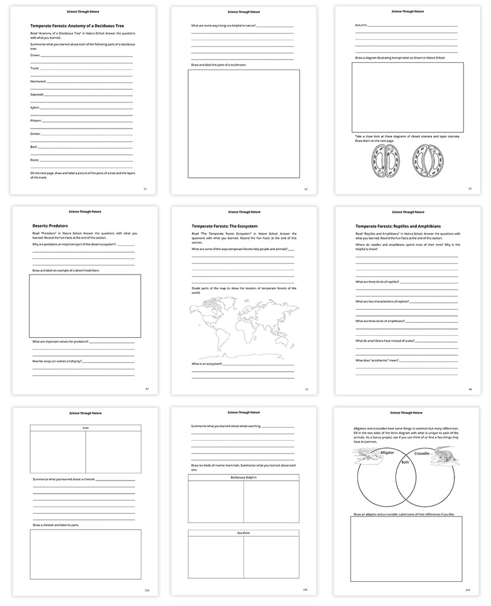 Science Through Nature Notebooking Pages