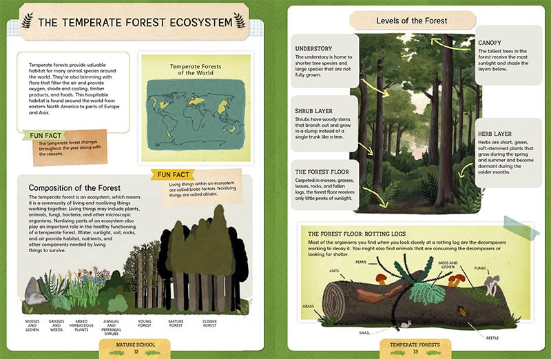 temerate forests lesson in Nature School