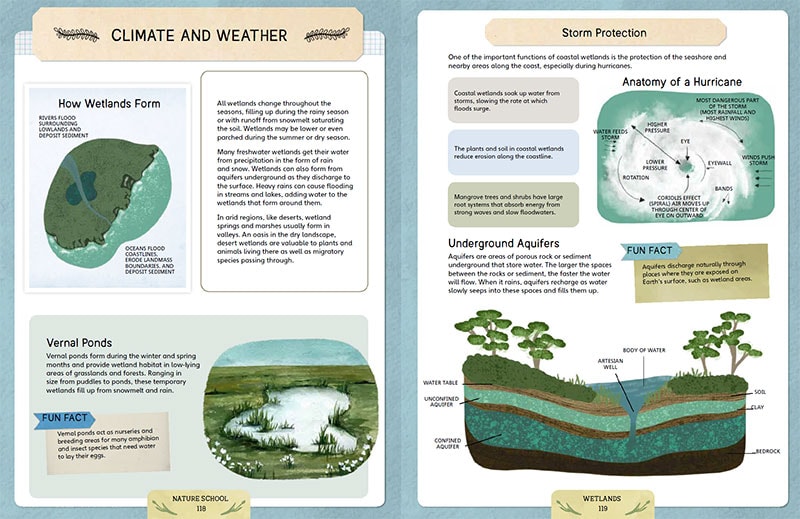 Wetlands lesson in Nature School