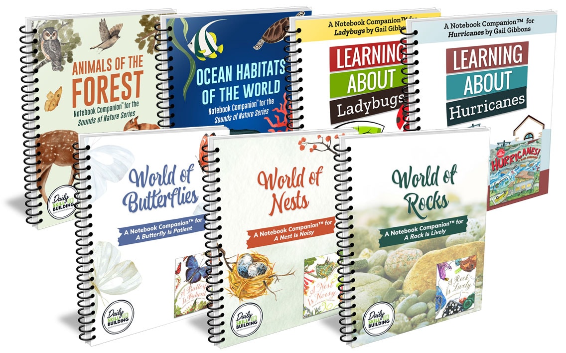 K-3 Notebooks