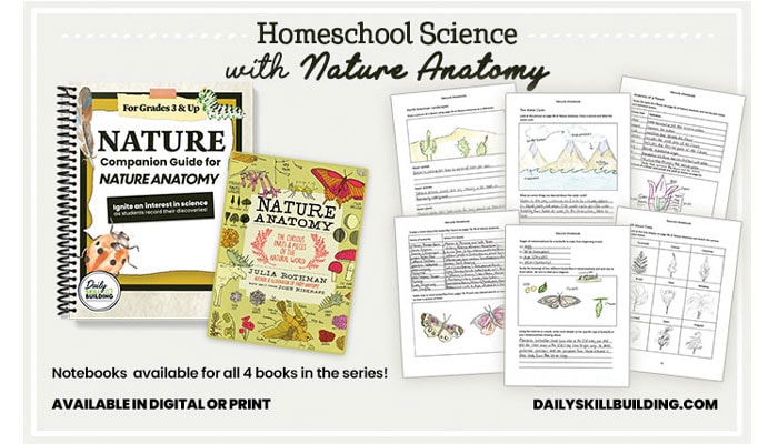 Nature Anatomy Notebook Series