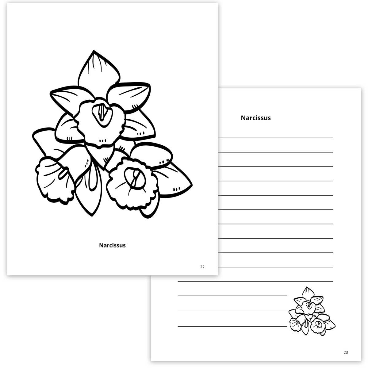 Narcissus Coloring Page